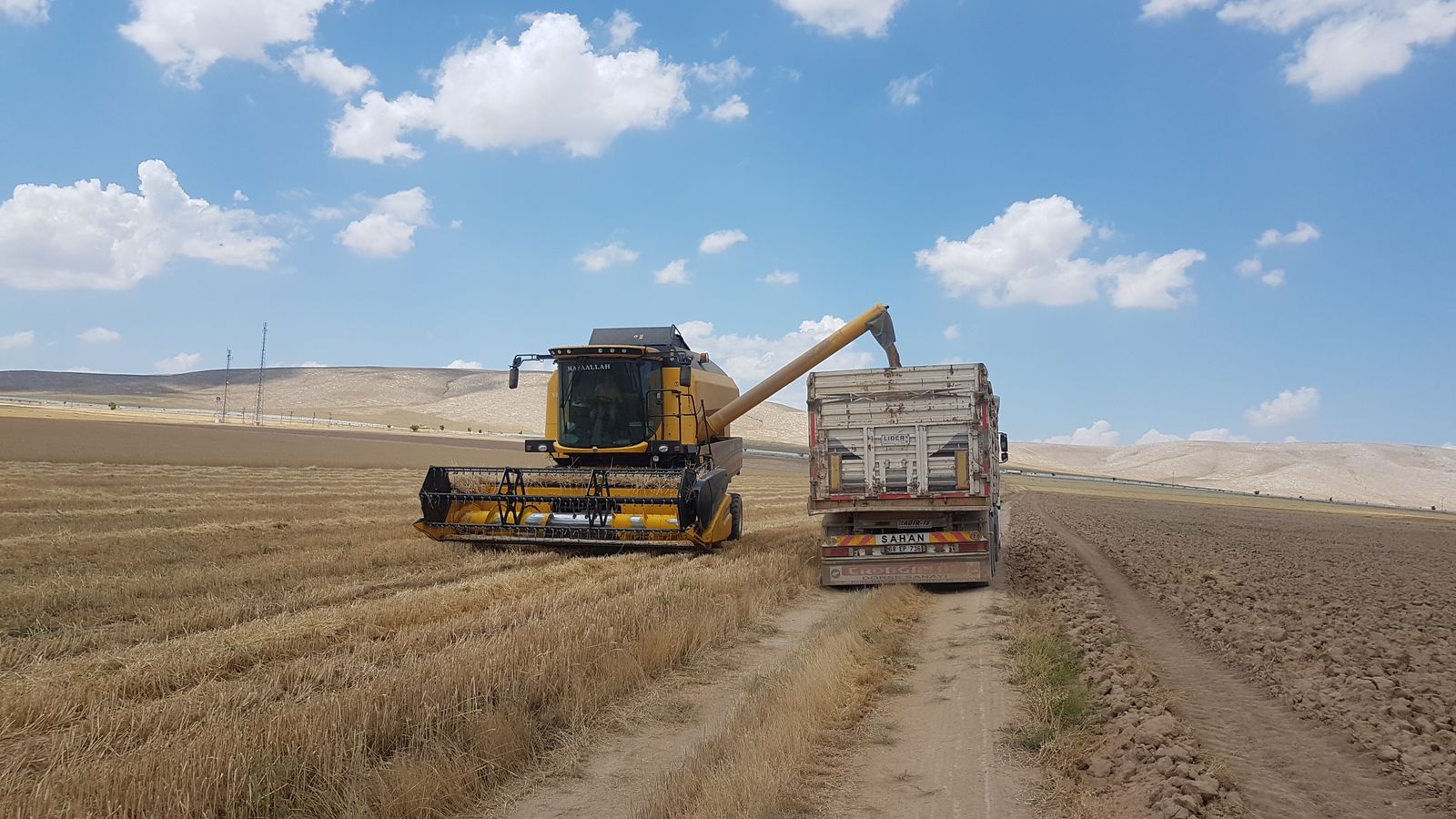 A combine harvester and truck working together during harvest in an open field.